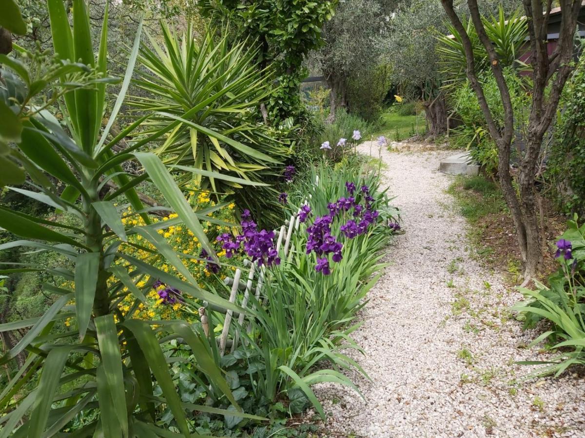 Bed and Breakfast Bastide De La Lauve Magagnosc Exterior foto